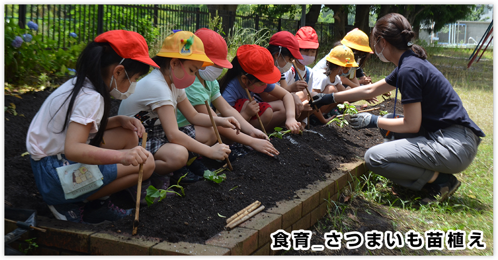 食農教育稲刈り体験